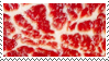 Meat!